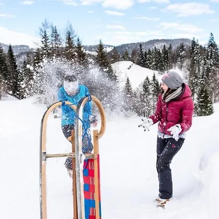 Apartment Harasser - Erleben Fieberbrunn