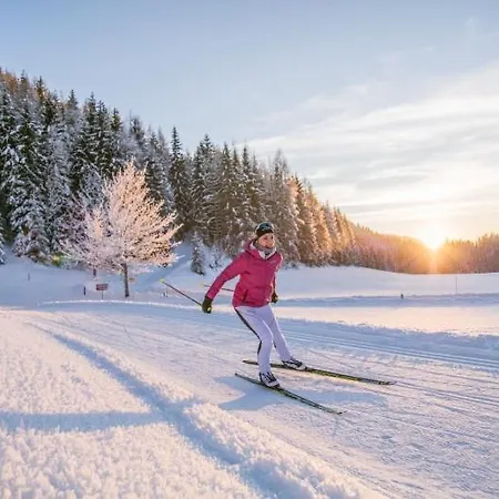 Apartman Harasser - Erleben *